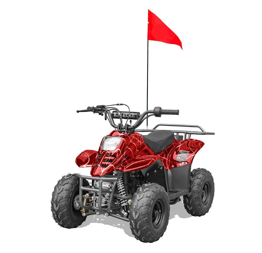 Hawk 110CC