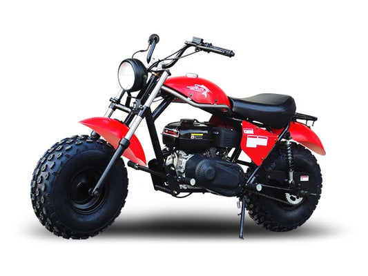 901 MOTOR SPORT Trailmaster MINI BIKE