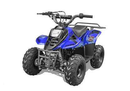 Hawk 110CC
